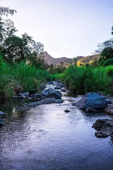 فيلا Hacienda Rosabel بونسي بيت للعطل