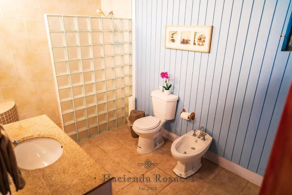بيت للعطل فيلا Hacienda Rosabel بونسي بورتوريكو